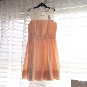 Loft dress